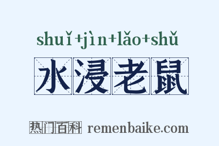 水浸老鼠是什么意思的图片